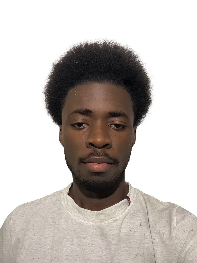Univers graphique du portfolio Emmanuel Madzou